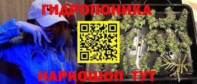 бошки Краснознаменск
