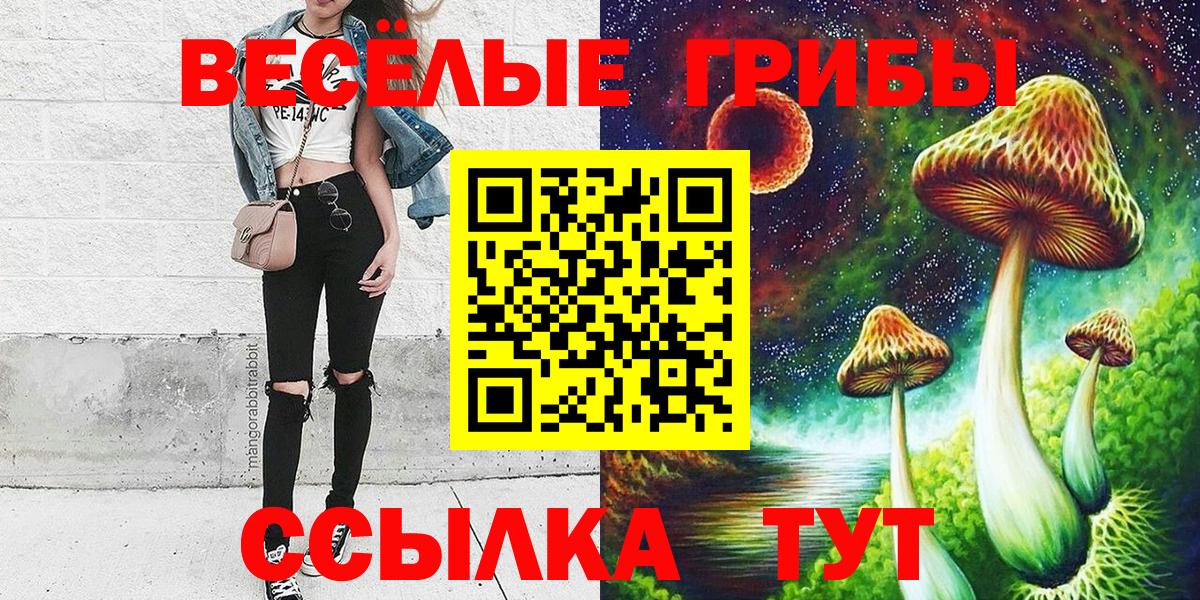 Галлюциногенные грибы Magic Shrooms  Псилоцибиновые грибы Cubensis  Вход с VPN  Ессентуки 